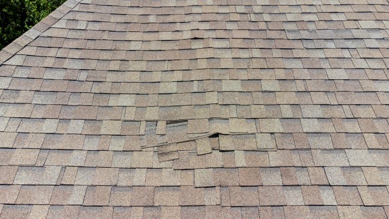 Asphalt Roof Inspection in Selbyville, DE