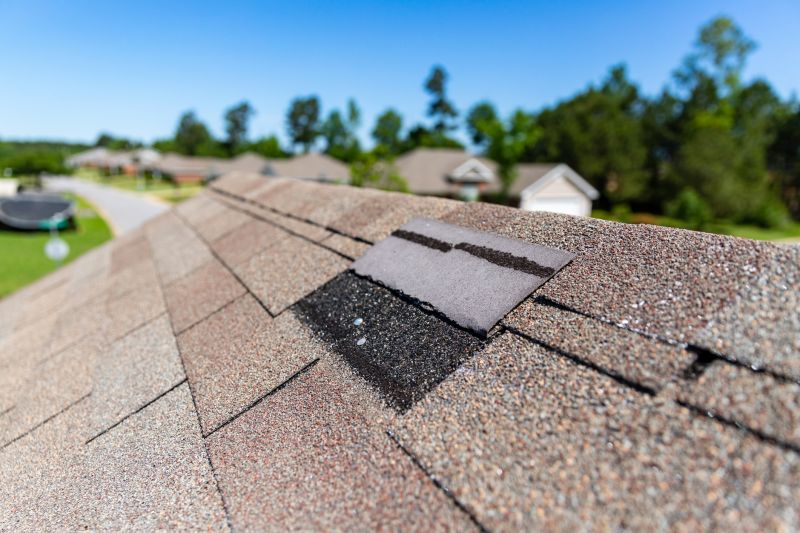Asphalt Roof Leak Repair in Bethany Beach, DE