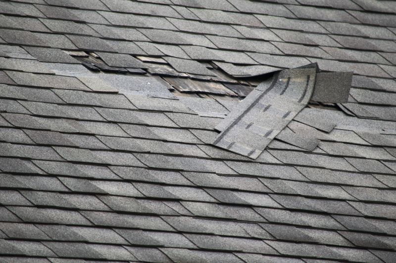Asphalt Roof Leak Repair in Georgetown, DE