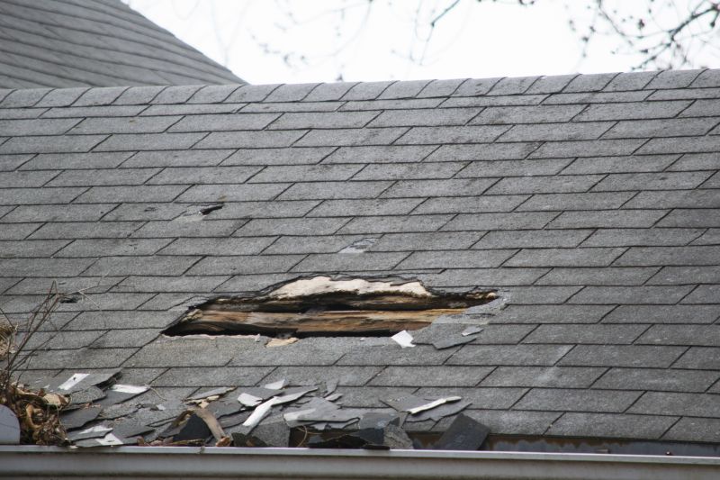 Asphalt Roof Leak Repair in Millsboro, DE