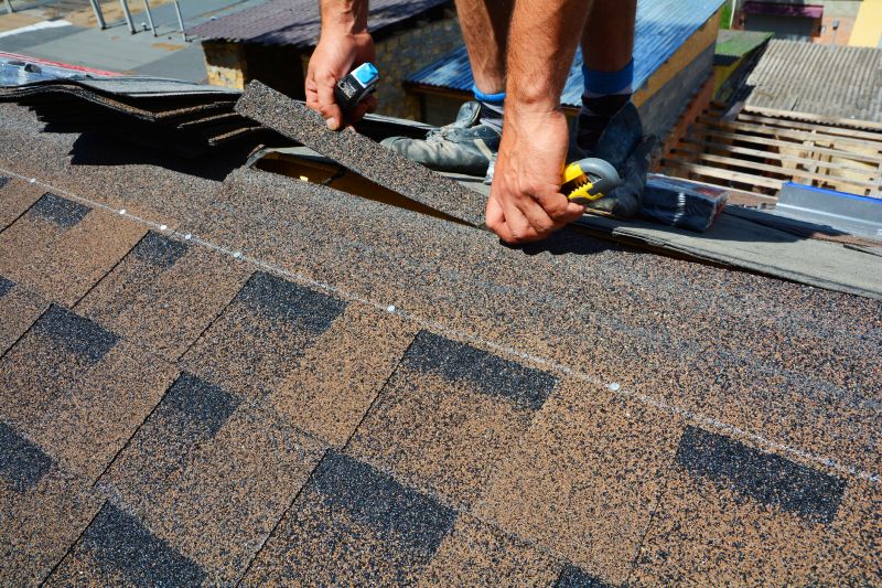 Asphalt Roof Repair in Selbyville, DE