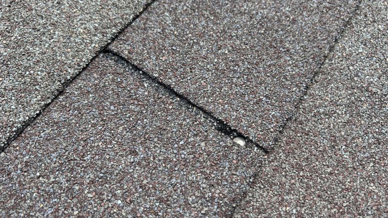 Asphalt Roof Repair in Selbyville, DE