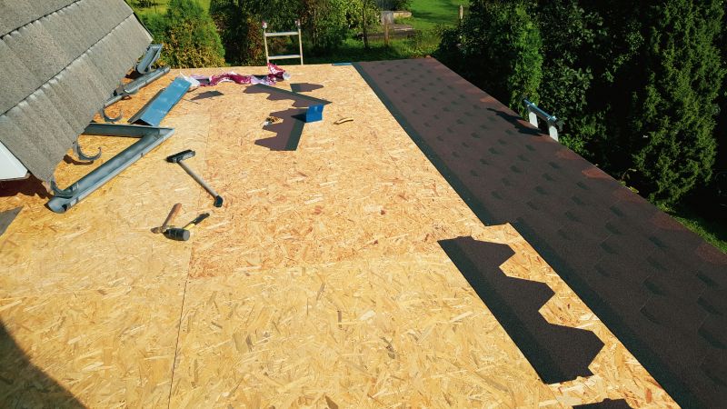 Asphalt Shingles Installation in Selbyville, DE