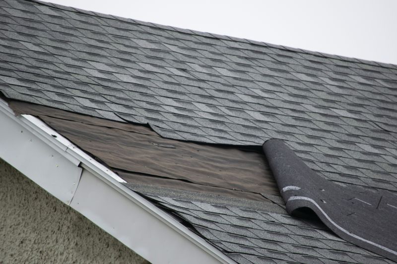 Asphalt Shingles Repair in Ellendale, DE