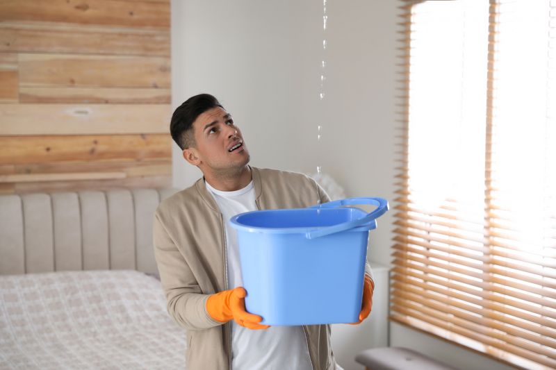 Bedroom Leak Repair in Ocean View, DE