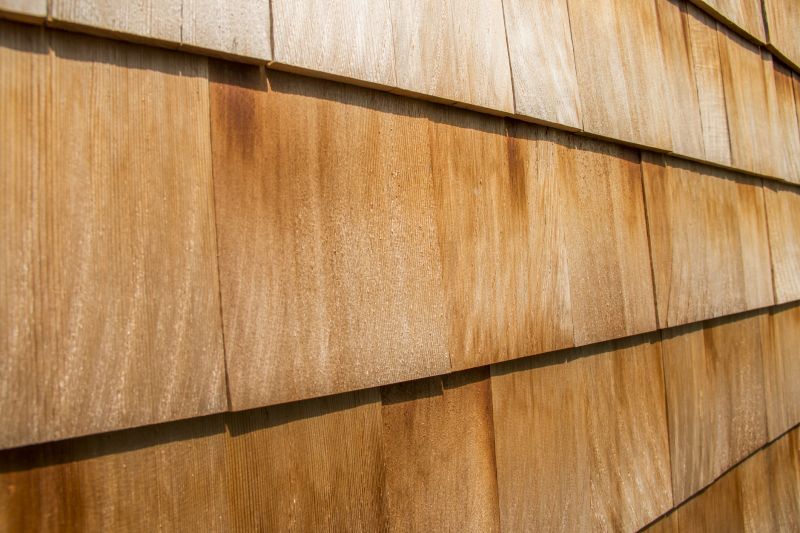 Cedar Shake Roof Repair in Dagsboro, DE