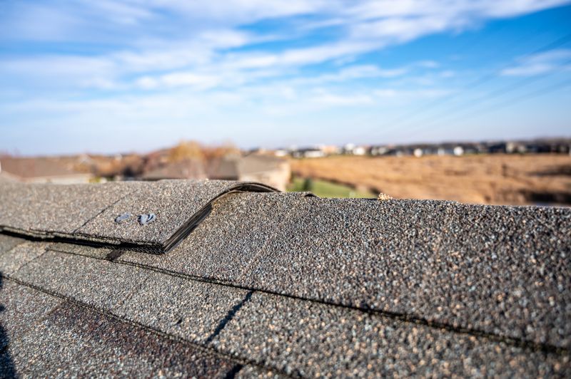 Damaged Roof Repair in Dagsboro, DE