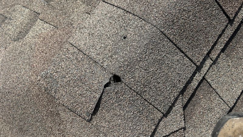 Damaged Roof Repair in Millville, DE