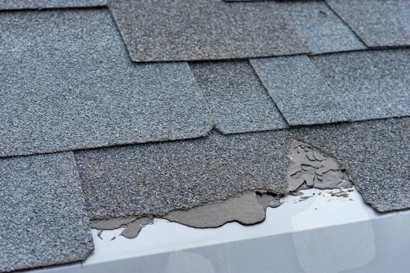 Damaged Roof Repair in Ocean City, MD