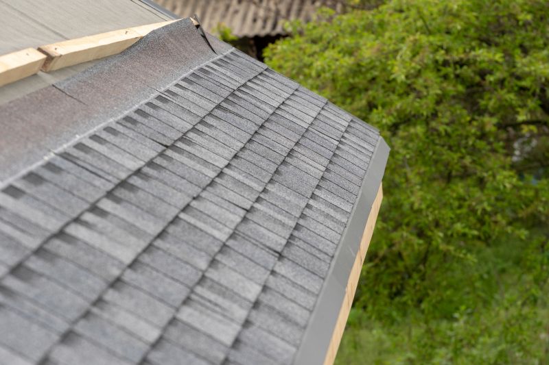 Damaged Roof Repair in Selbyville, DE