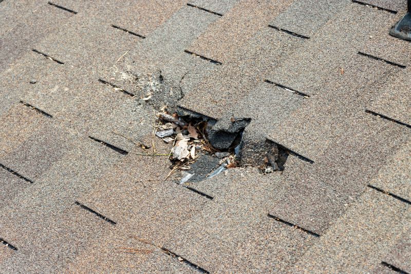 Damaged Roof Replacement in Ocean City, MD