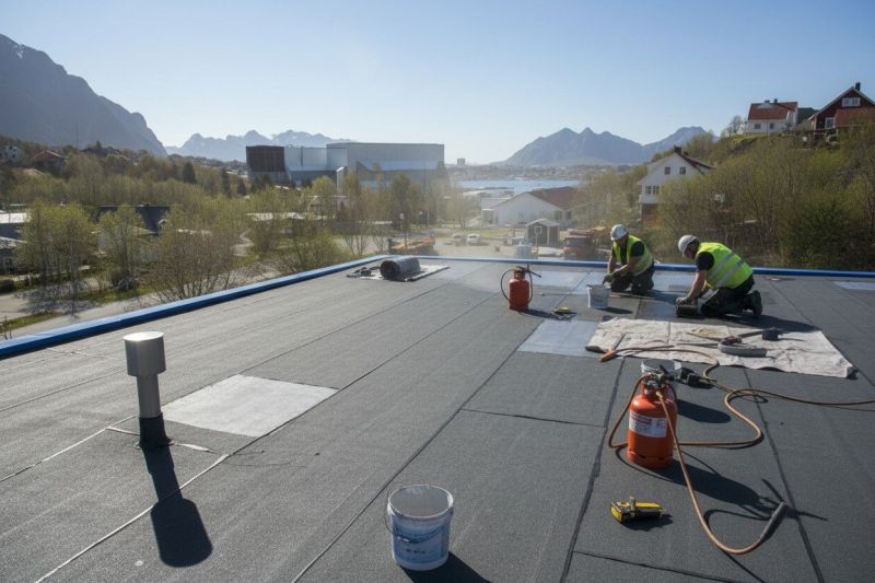 Flat Roof Replacement in Dagsboro, DE