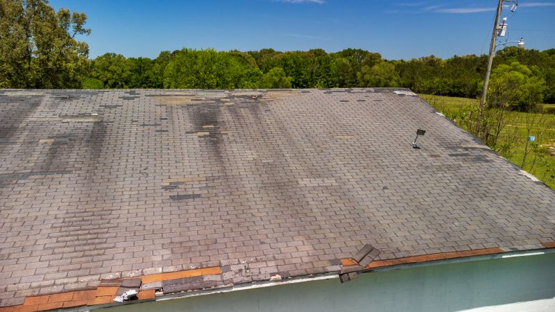 Hail Damage Roof Repair in Dewey Beach, DE