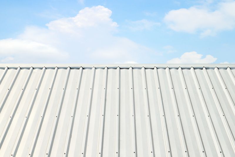 Metal Roof Coating Service in Ocean View, DE