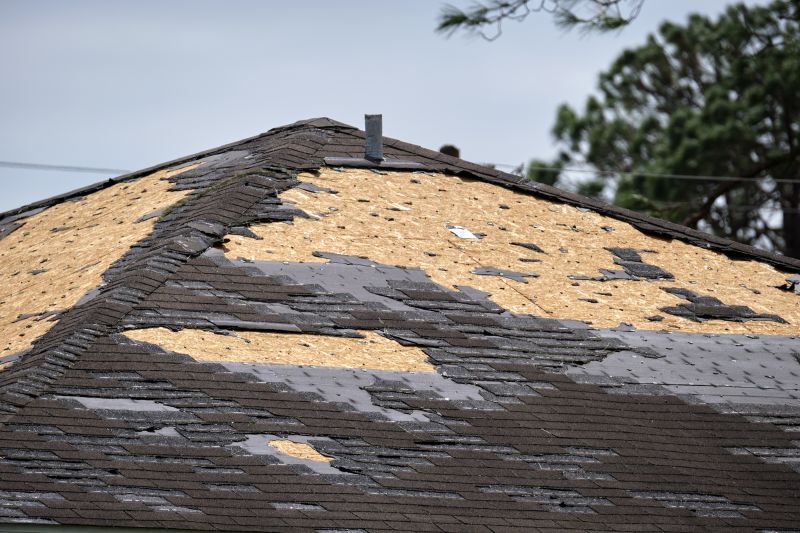 Roof Damage Inspection in Ocean View, DE