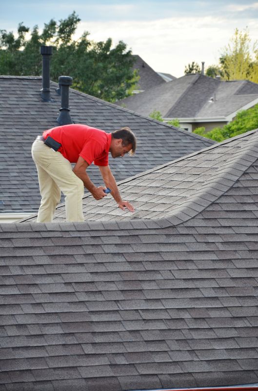 Roofing Evaluation in Dagsboro, DE