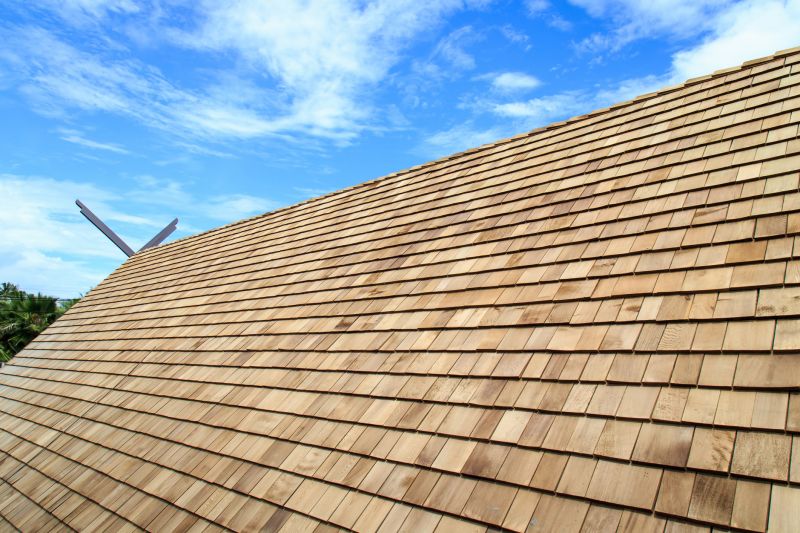 Shake Roof Replacement in Millsboro, DE