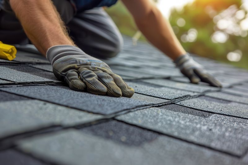 Shingles Repair in Fenwick Island, DE