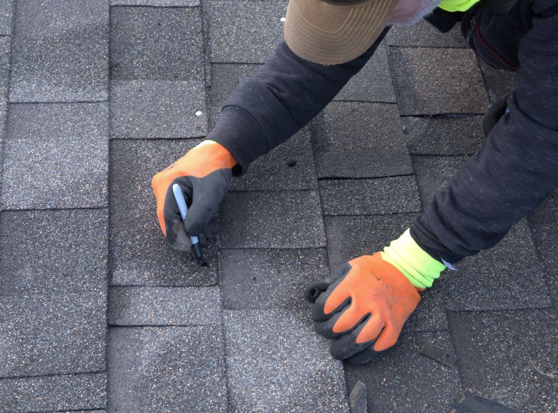 Shingles Repair in Parsonsburg, MD