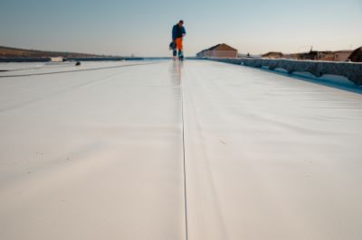 Single Ply Roof Repair in Ocean View, DE