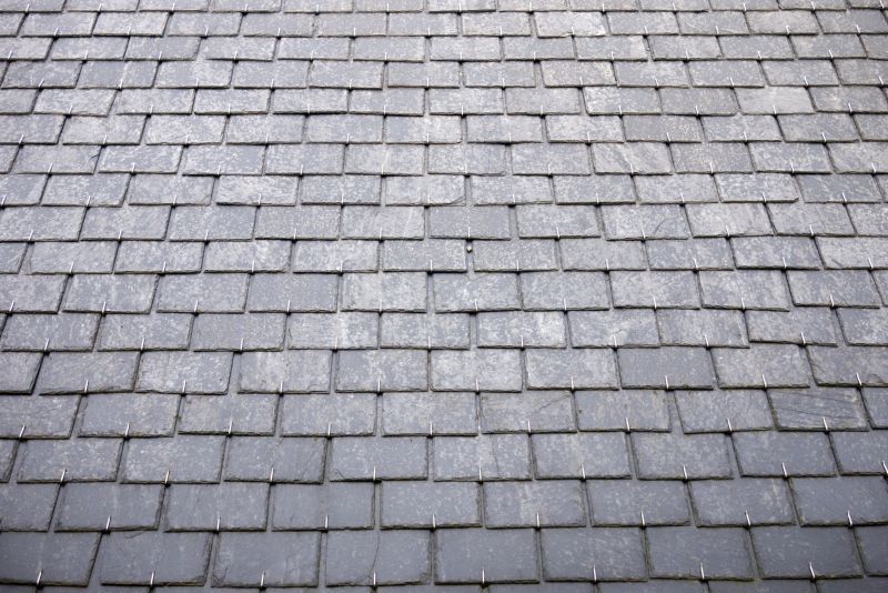 Slate Roof Inspection in Ocean View, DE