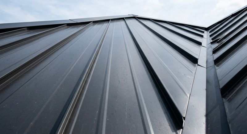 Standing Seam Roof Repair in Ocean View, DE