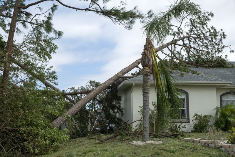 Storm Damage Roof Repair in Selbyville, DE