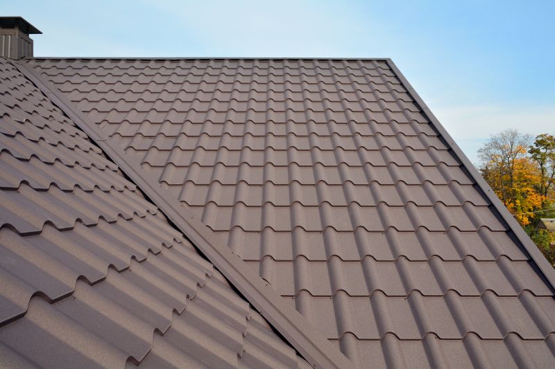 Tin Roof Installation in Fenwick Island, DE