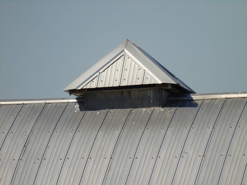 Tin Roof Installation in Worcester County, MD