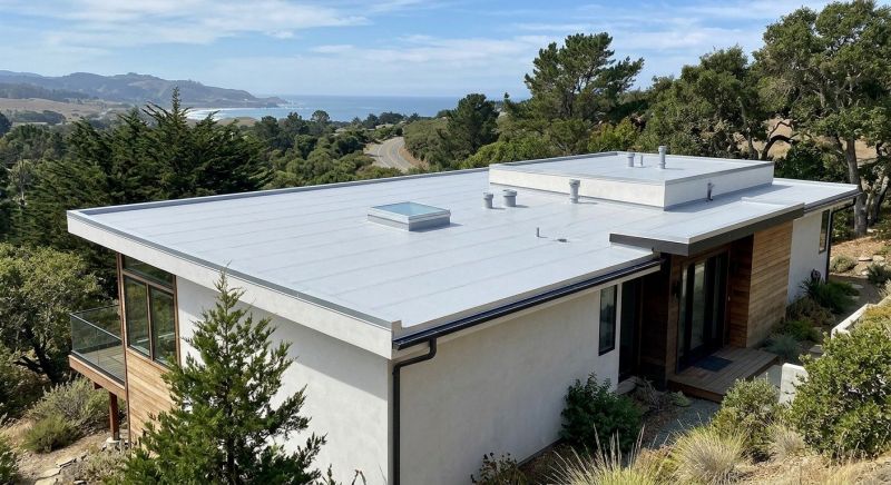 Tpo Roof Installation in Frankford, DE