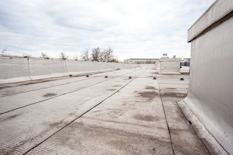Tpo Roof Repair in Georgetown, DE