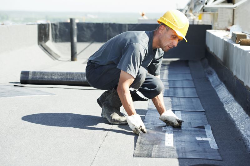 Tpo Roof Repair in Millsboro, DE