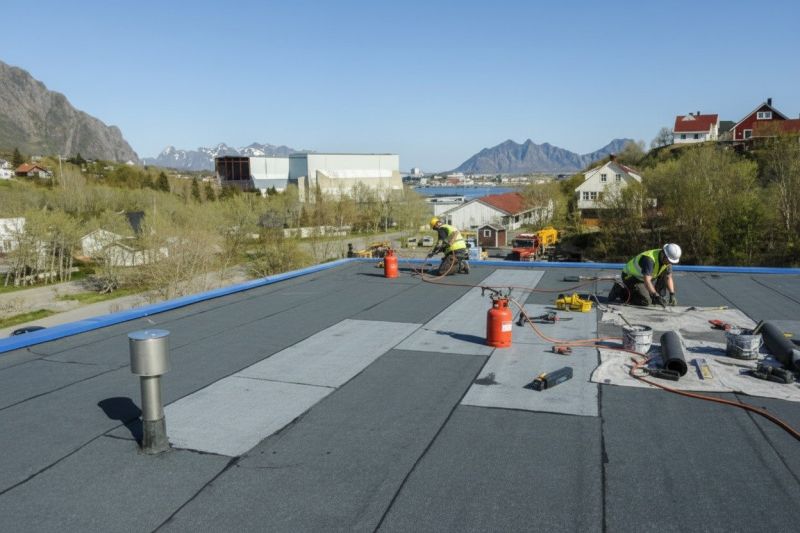 Tpo Roof Replacement in Parsonsburg, MD