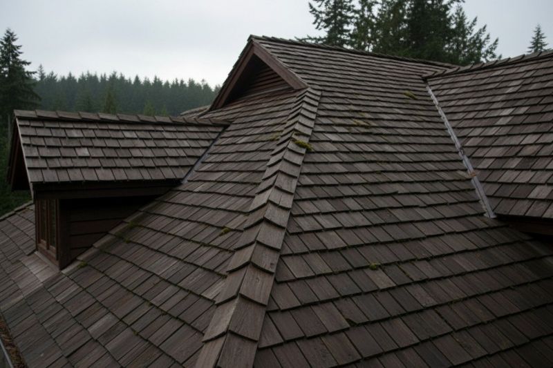 Wood Shake Roof Replacement in Parsonsburg, MD